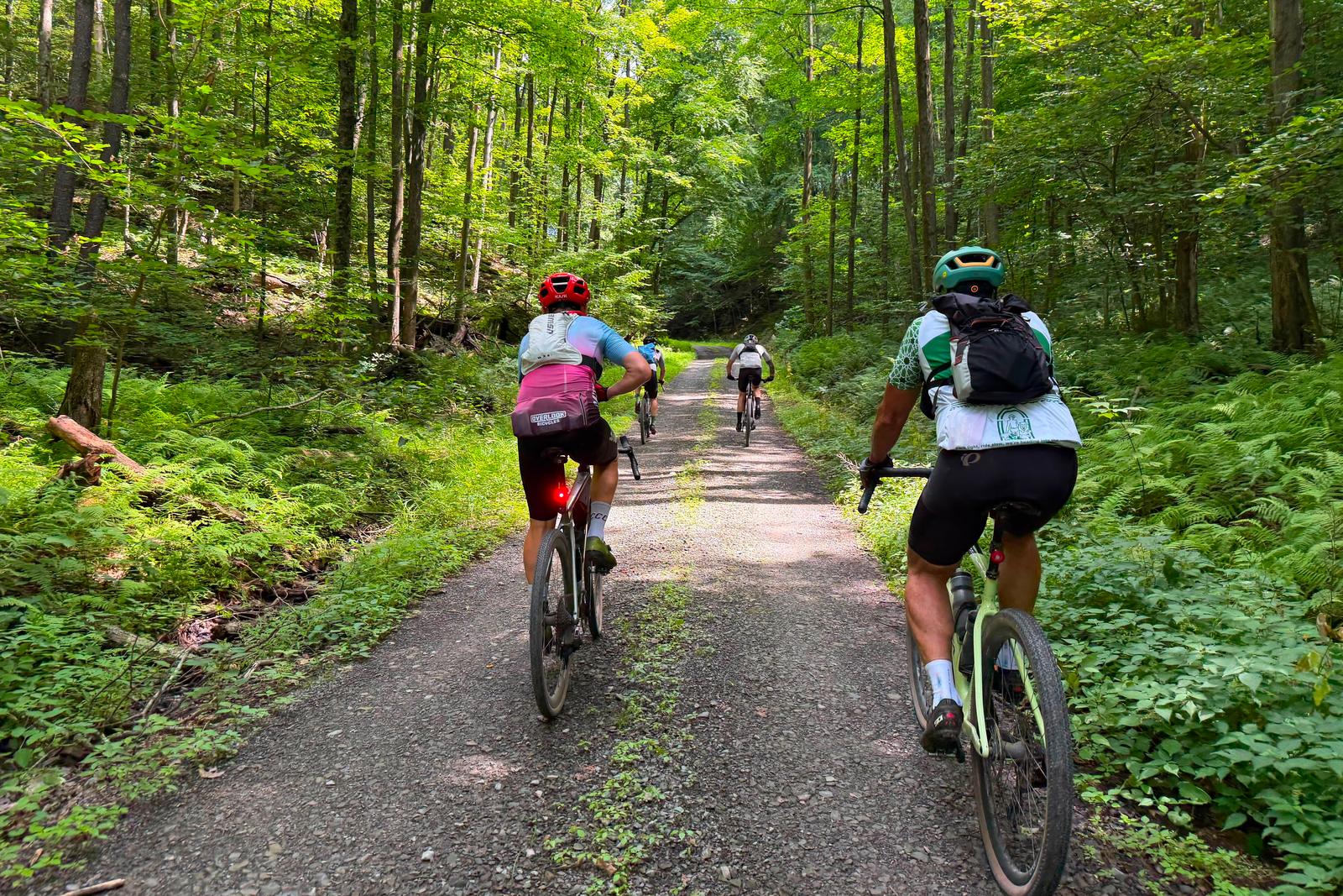 Five riders together on fern-lined doubletrack in dappled afternoon light.