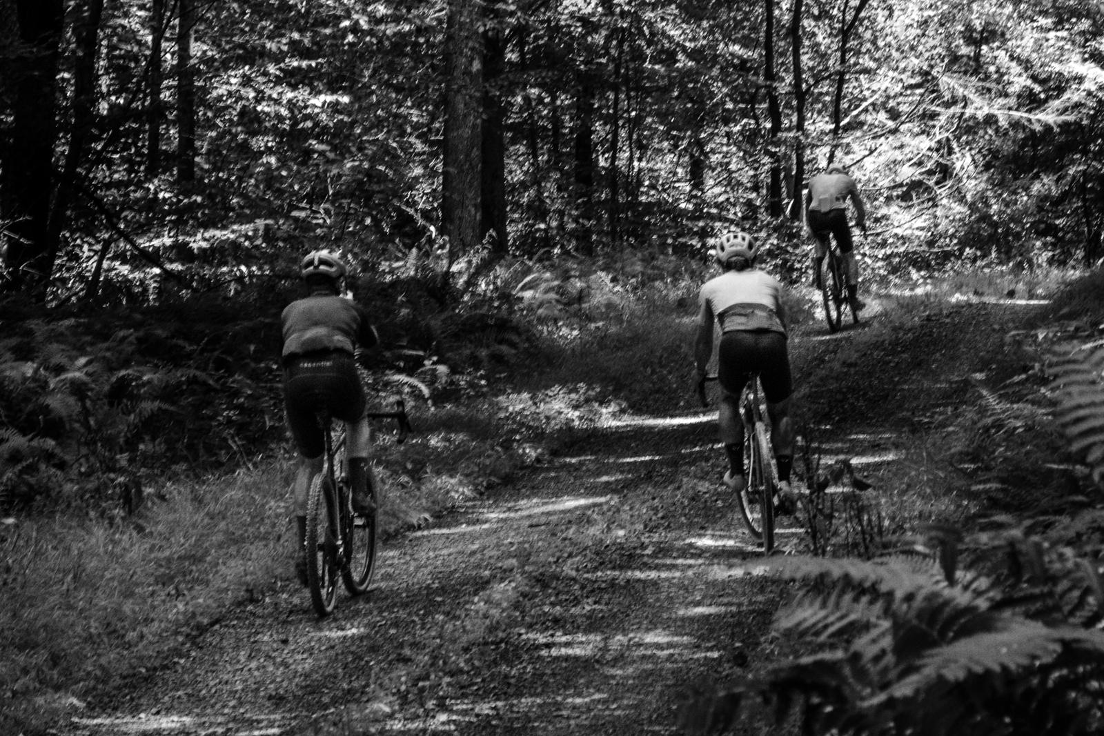 Black and white: riders strung out on a loose, rutted climb through woodland.